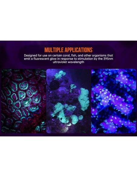 Šviestuvas OrcaTorch  "D530-UV"