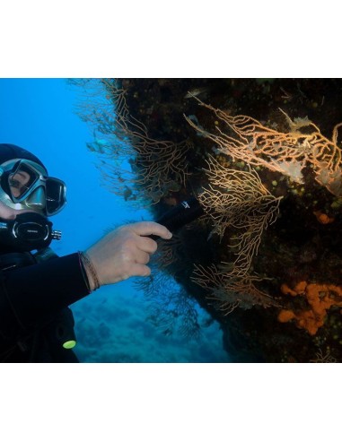 Šviestuvas OrcaTorch  "D580" (530 Lumens)