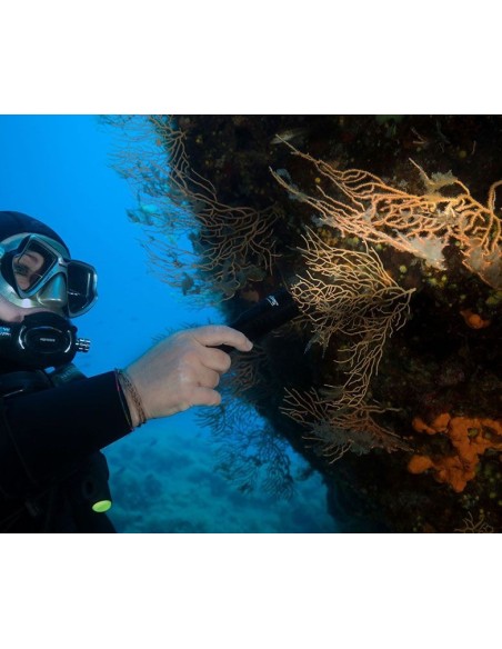 Šviestuvas OrcaTorch  "D580" (530 Lumens)