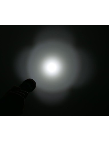 Šviestuvas OrcaTorch  "D850" (2500 Lumens)