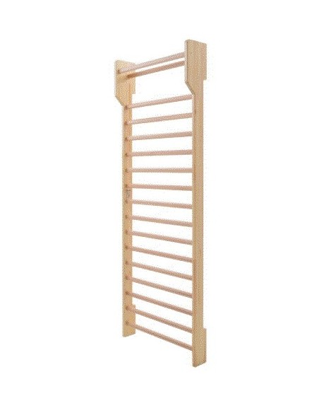 Švediška gimnastikos sienelė 256x90x10cm