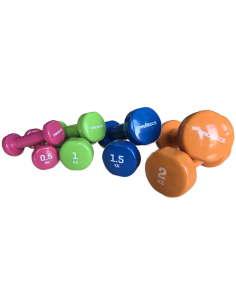 Vinyl dumbbells PROESCE
