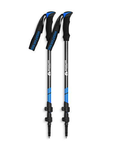 Šiaurietiško ėjimo lazdos 4FIZJO "PEAK+ MOUNTAIN GOAT"