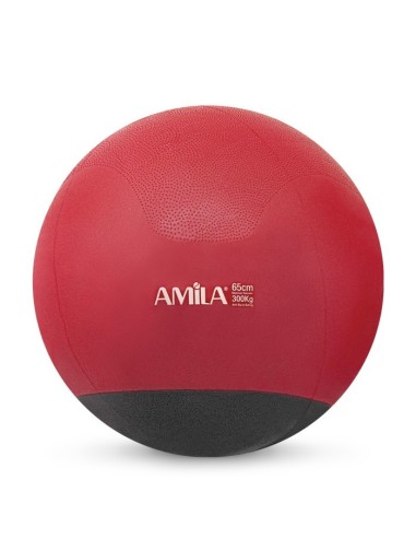 Mankštos kamuolys AMILA "GYM BALL WITH WEIGHT BASE" (65cm)