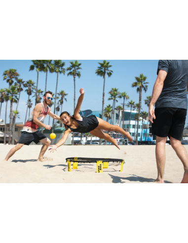 SPIKEBALL game "STANDARD SET"