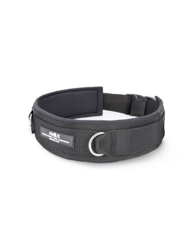 Waist belt with 2 D-rings
