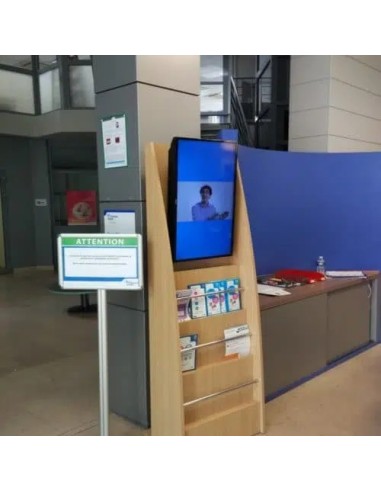 LCD video screen