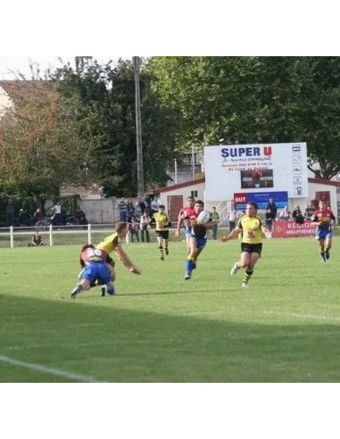 452 FRB švieslentė – lauko sporto švieslentė