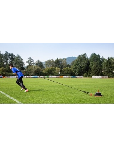 Sprinto rogutės su greito atleidimo funkcija