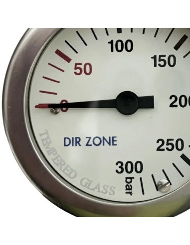 Manometras be žarnelės Dirzone SPG 52mm 300Bar
