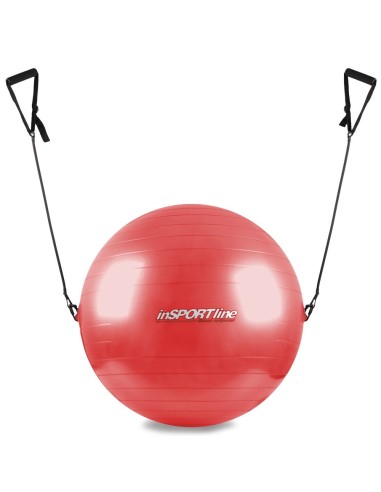 Gimnastikos kamuolys InSportline 55cm