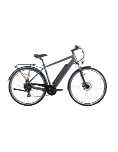 Elektrinis dviratis TOTEM XC921 28", pilkas