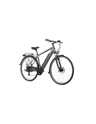 Elektrinis dviratis TOTEM XC921 28", pilkas