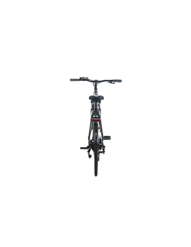 Elektrinis dviratis TOTEM XC921 28", pilkas