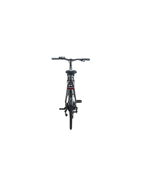 Elektrinis dviratis TOTEM XC921 28", pilkas