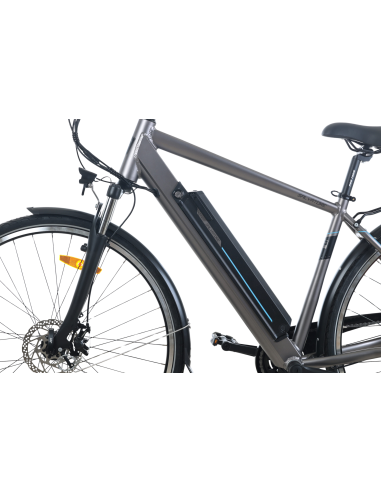 Elektrinis dviratis TOTEM XC921 28", pilkas