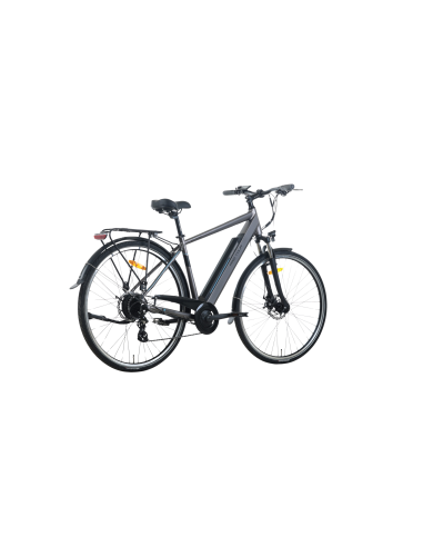 Elektrinis dviratis TOTEM XC921 28", pilkas