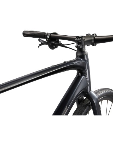 Jalgratas GIANT FastRoad AR 2, 28" Metallic Black (S)