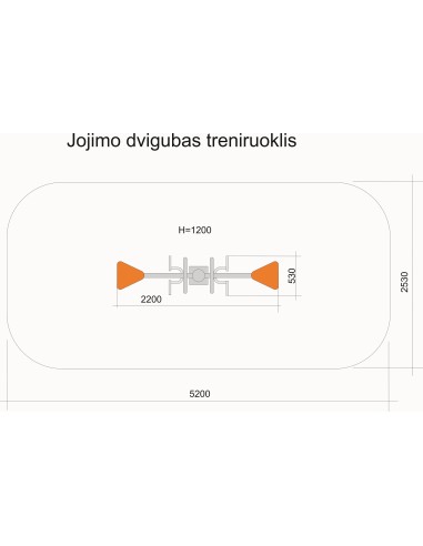 Raideris dvipusis RT22-2