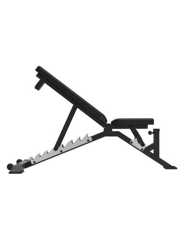 Treeningpink Tunturi Platinum FG60 universalus suoliukas