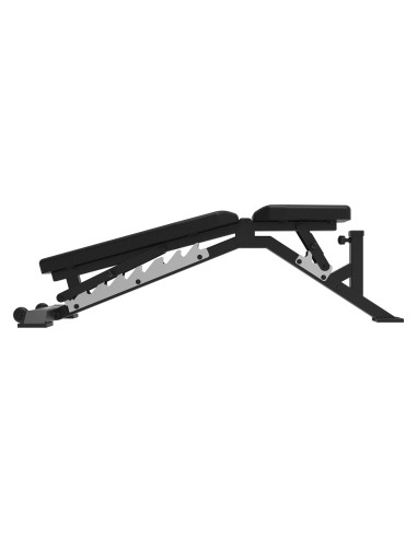 Treeningpink Tunturi Platinum FG60 universalus suoliukas