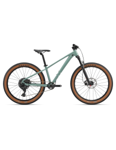 Children's bike LIV STP 26, eucalyptus color (S/M)