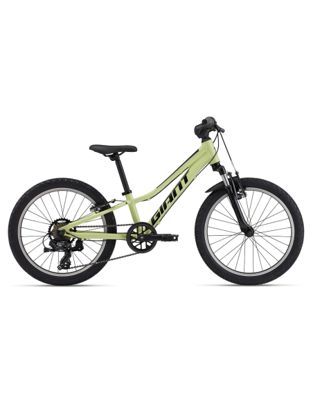 Vaikiškas dviratis GIANT Talon 20, Muscat Blanc