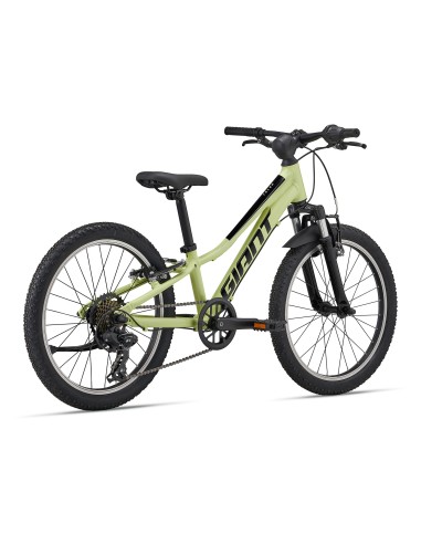 Vaikiškas dviratis GIANT Talon 20, Muscat Blanc