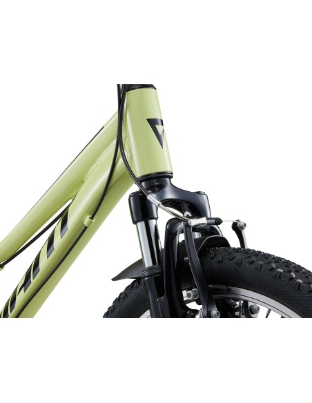 Vaikiškas dviratis GIANT Talon 20, Muscat Blanc