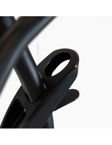 Velotrenažieris BH FITNESS Carbon Bike RS Multimedia