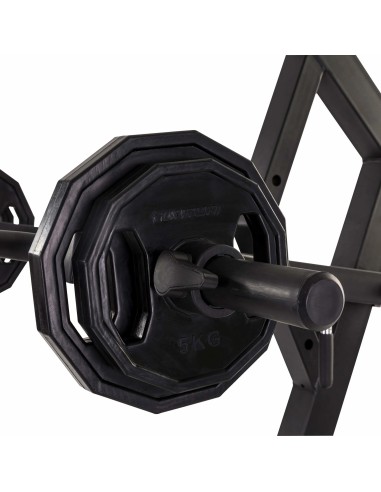 Daugiafunkcis treniruoklis Tunturi WT85 Leverage Pulley Gym