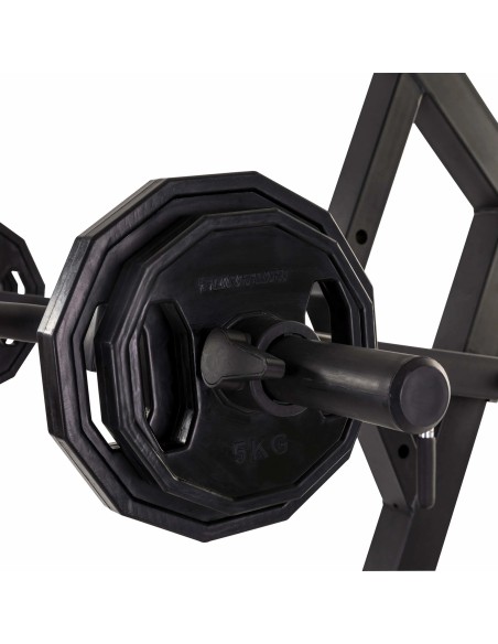 Daugiafunkcis treniruoklis Tunturi WT85 Leverage Pulley Gym