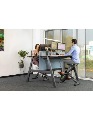 Dviratis treniruoklis TUNTURI Cardio Fit D20 Deskbike