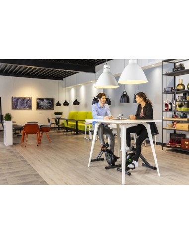 Dviratis treniruoklis TUNTURI Cardio Fit D20 Deskbike