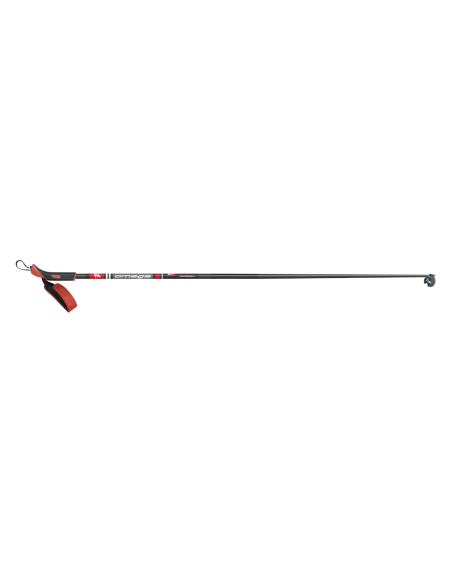 Slidinėjimo lazdos Rex OMEGA (125)