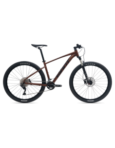 Dviratis GIANT Talon 29 1 GE, Hematitas (M)