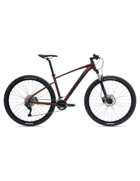 Dviratis GIANT Talon 29 1 GE, Hematitas (M)