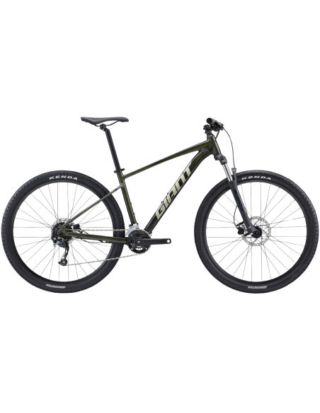 Jalgratas GIANT Talon 29 2, fantominės žalios spalvos (M)