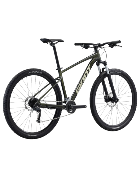 Jalgratas GIANT Talon 29 2, fantominės žalios spalvos (M)