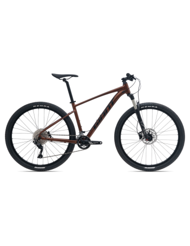Dviratis GIANT Talon 29 1 GE, Hematitas (L)