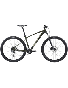 Jalgratas GIANT Talon 29 2, fantominės žalios spalvos (L)