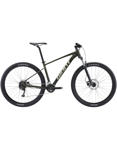 Jalgratas GIANT Talon 29 2, fantominės žalios spalvos (L)