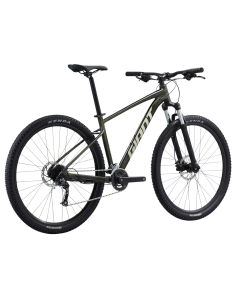 Jalgratas GIANT Talon 29 2, fantominės žalios spalvos (L) 2