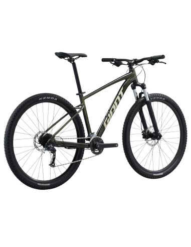 Jalgratas GIANT Talon 29 2, fantominės žalios spalvos (L)