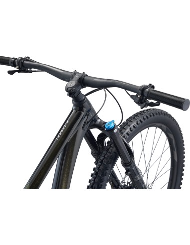 Kalnų dviratis GIANT Trance X 29 1, Panther (L)