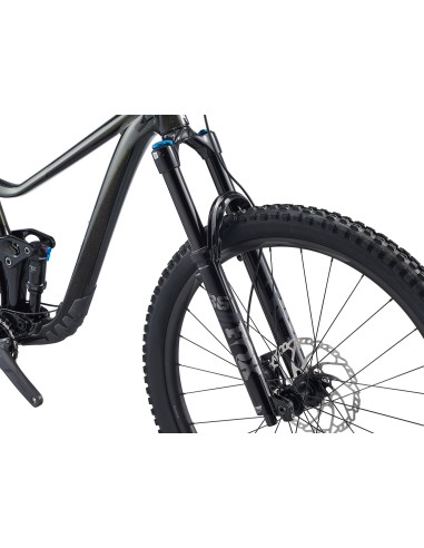 Kalnų dviratis GIANT Trance X 29 1, Panther (L)