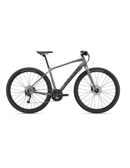 Dviratis GIANT ToughRoad SLR 2, metalinis (L)