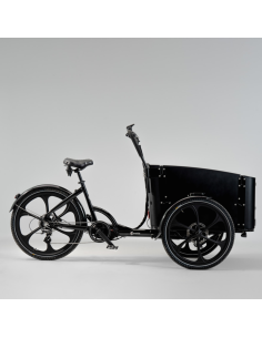 Elektrinis krovininis dviratis CARGOBIKE Delight
