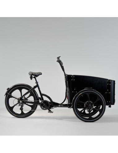 Elektrinis krovininis dviratis CARGOBIKE Delight