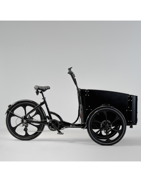 Elektrinis krovininis dviratis CARGOBIKE Delight